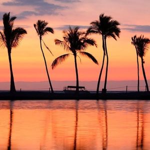 Meet your Posher, Daniela